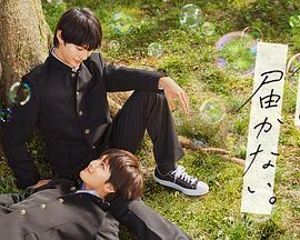 山岸逢花网海报剧照