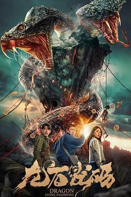 久久久国产精品免费片海报剧照