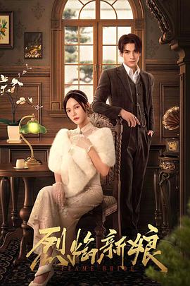 国外尺度大的视频海报剧照